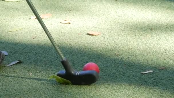 Mini Golf Green Field Covered Artificial Turf Which Lies Red — Stock Video