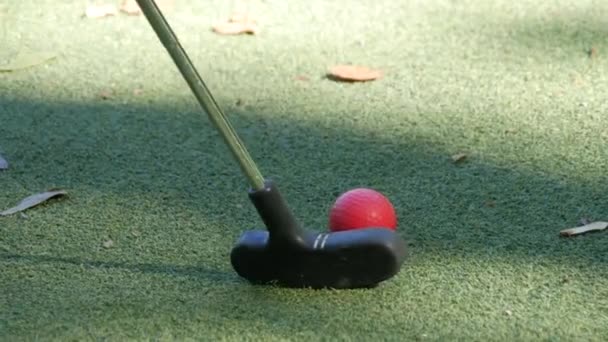 Mini Golf Green Field Covered Artificial Turf Which Lies Red — Stock Video