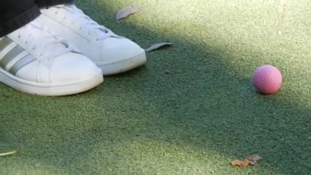 Mini Golfe Campo Verde Coberto Com Relva Artificial Que Encontra — Vídeo de Stock