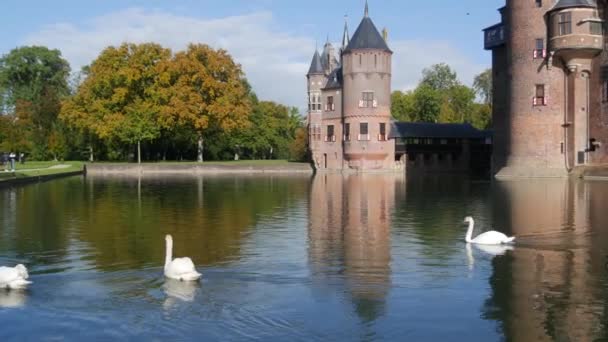 Herfst Kasteel Haar Utrecht Oude Architectuur Toeristische Attractie Nederlands Europees — Stockvideo