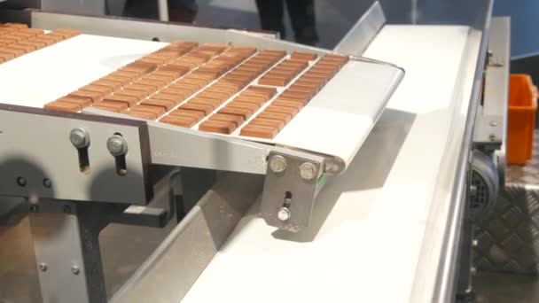 ドイツ ケルン 2022年10月10日 チョコレート博物館 ミニチュア版のチョコレート製造プロセス ケルンのチョコレート製造工場のプロセス 観光客のためのチョコレートの作品 — ストック動画