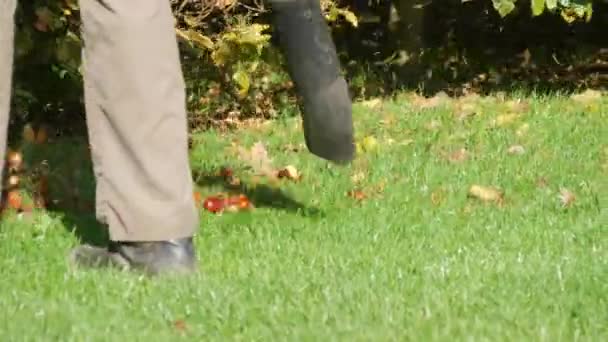 Janitor Removes Chestnuts Fallen Leaves Green Lawn Special Outdoor Vacuum — Stock Video