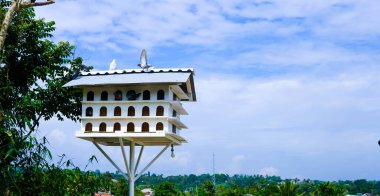 Bogor, Batı Java 21. Mei 2022 Tepedeki Güzel Piegon Evi