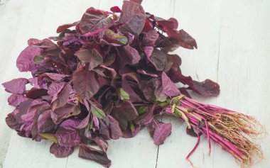 beyaz zemin üzerine kırmızı ıspanak