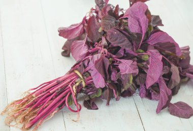 beyaz zemin üzerine kırmızı ıspanak