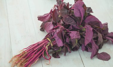 beyaz zemin üzerine kırmızı ıspanak