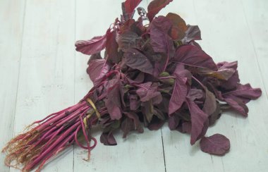 beyaz zemin üzerine kırmızı ıspanak