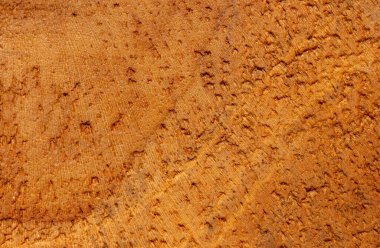 Arka plan için tik ağacı ahşap yüzeyinin doğal deseni