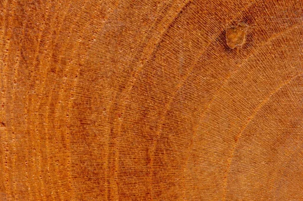 Nature Pattern Teak Wood Surface Background — Stock Photo, Image