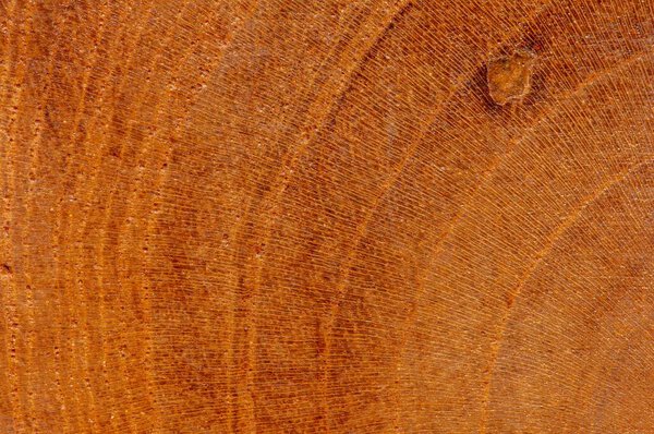 Природный узор поверхности тикового дерева для фона