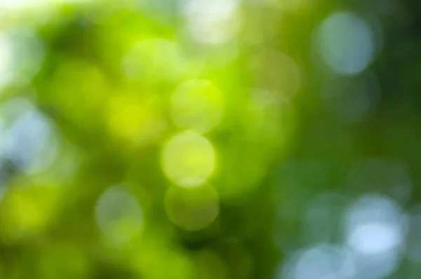 Zielony Żółty Bokeh Abstrakcyjne Tło Kolorowy Brokat Zdekoncentrowany Liści Ogrodzie — Zdjęcie stockowe