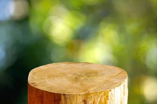 Serra Madeira Redonda Corte Forma Cilindro Para Exibição Produto Com — Fotografia de Stock