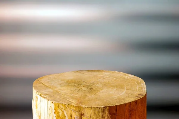 Kulatá Dřevěná Pilka Řezaný Válec Tvar Pro Zobrazení Výrobku Měkkou — Stock fotografie