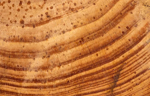 Padrão Natureza Textura Madeira Teca Para Fundo — Fotografia de Stock