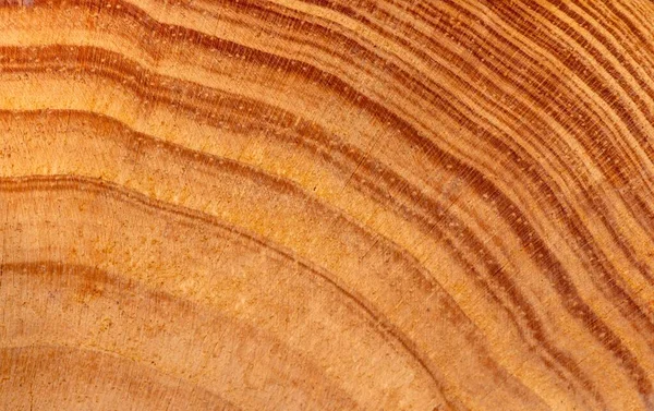 Charakter Wzór Tekstury Drewna Tekowego Tle — Zdjęcie stockowe