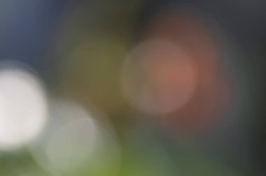 Renkli bokeh soyut arkaplan, bahçedeki yapraklardan yansıyan simler