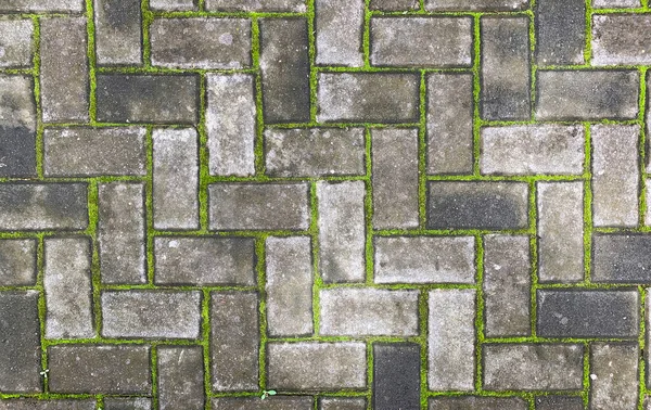 Top View Paving Stones Moss Natural Background — Stock Photo, Image