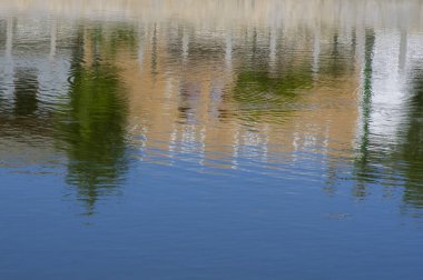 Residential houses, urban park, and trees reflecting in water