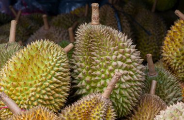 Durian meyvelerini kapat (Durio zibethinus)