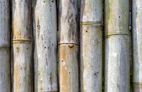 Старый Бамбуковый Забор Текстура Фона — стоковое фото
