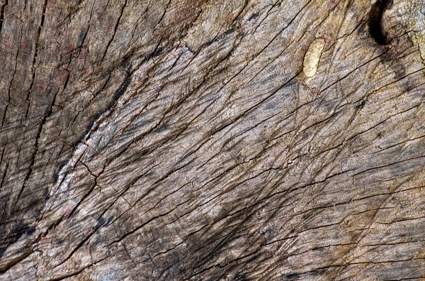 Поверхность Старой Древесины Естественного Фона — стоковое фото