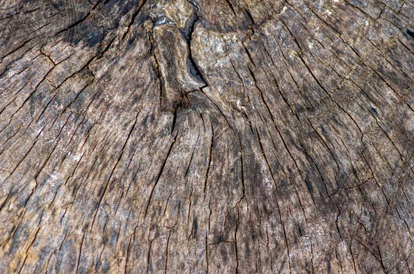 Die Oberfläche Eines Alten Holzes Für Den Natürlichen Hintergrund — Stockfoto