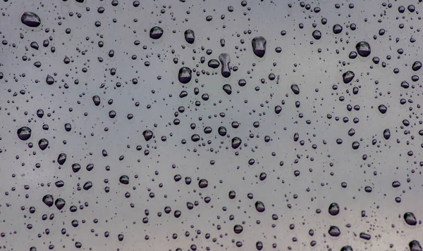 표면에 초점으로 물방울이 떨어진다 — 스톡 사진