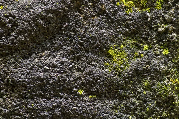 Зеленый Мох Камне Неглубоком Фокусе Компьютерный Фон — стоковое фото