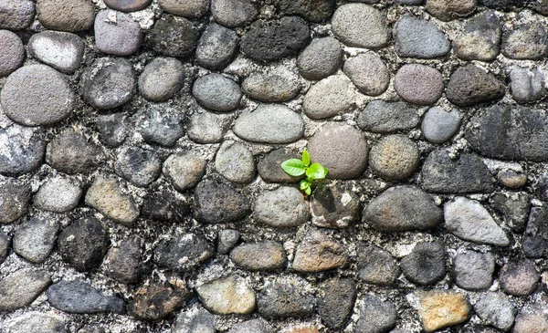 Mur Pierre Colorée Pour Fond Naturel Papier Peint — Photo