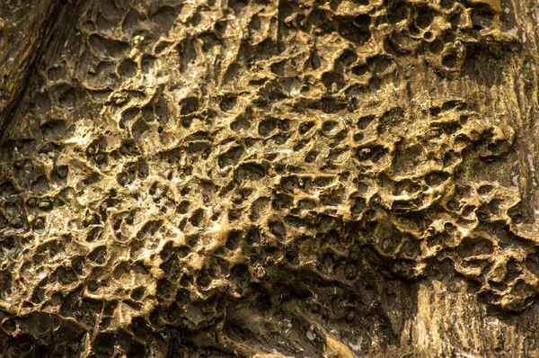 Superfície Pedra Para Fundo Natural — Fotografia de Stock