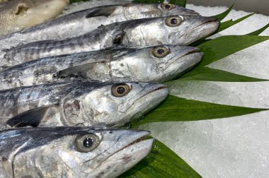 Ikan tenggiri, Spanish mackerels, Scomberomorus commerson on supermarket