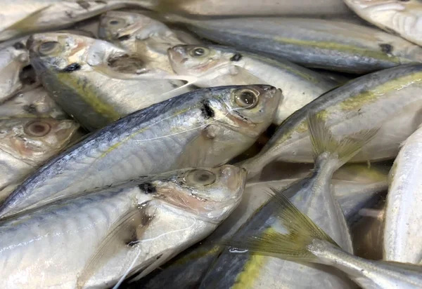 Frischer Fisch Auf Dem Eis Und Bananenblätter Supermarkt — Stockfoto
