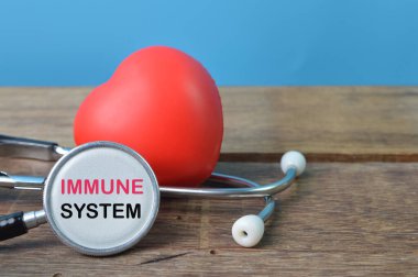 IMMUNE SİSTEM ile yazılmış kalp şekli ve steteskop