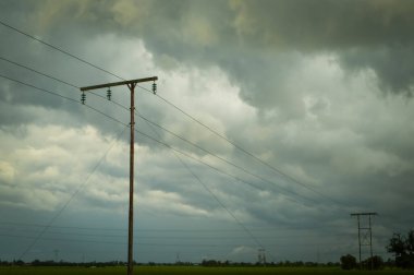 Bulutlu bir günde çeltik tarlasında elektrik direği