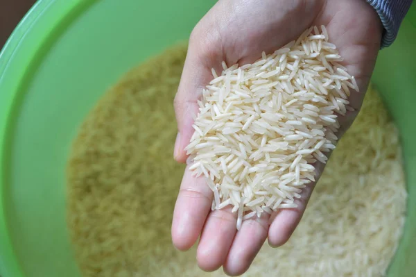 Arroz Mão Isolado Sobre Fundo Arroz Desfocado — Fotografia de Stock