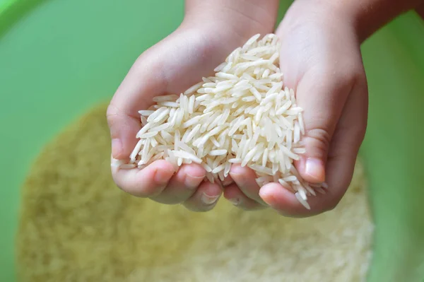 Hand Holding Rice Isolated Blurred Rice Background — Foto Stock