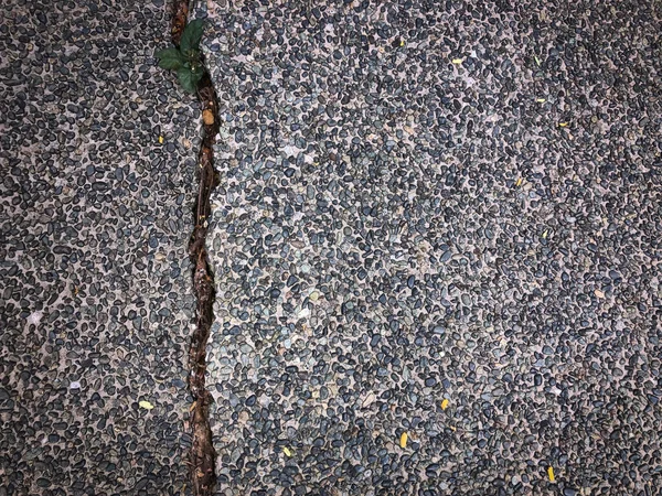 道路上の灰色のコンクリート表面に亀裂 — ストック写真