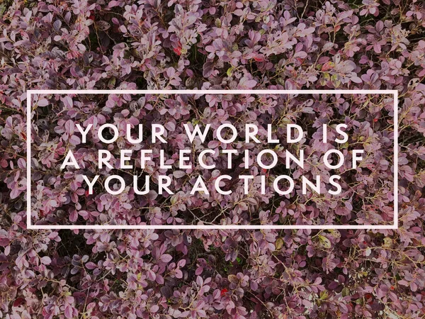 Motivationszitat Mit Dem Satz Ihre World Ist Reflektion Ihrer Aktionen — Stockfoto