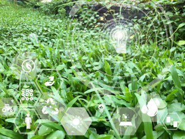 Bitki geçmişi olan modern akıllı çiftçilik. Gelecekteki tarım kavramı.