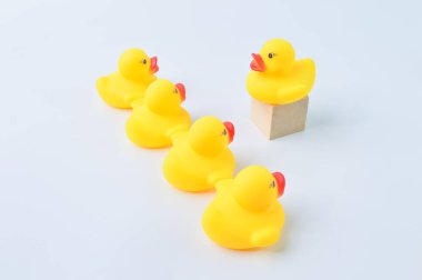 Ördek lideri kalabalığın arasında duruyor. İş konsepti.