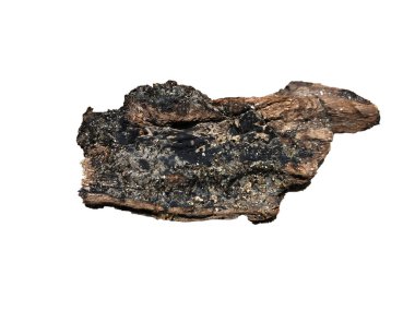 Beyaz arkaplanda izole edilmiş kaya taşı görüntüsü