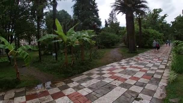 Botanischer Garten in der Stadt Sukhum der Republik Abchasien im Juli-Monat. — Stockvideo