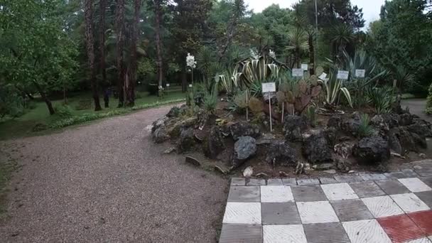 Ogród botaniczny w mieście Sukhum Republiki Abchazji w lipcu - miesiąc. — Wideo stockowe