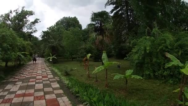 Jardín Botánico en la ciudad de Sukhum de la República de Abjasia en julio-mes. — Vídeo de stock