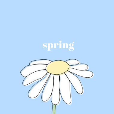 Mavi arkaplanlı siyah papatya çiçeği. Bahar mesajı. Vektör illüstrasyonu, düz tasarım