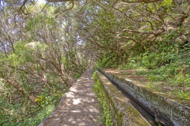 Maderira adasında su olan güzel bir manzara.
