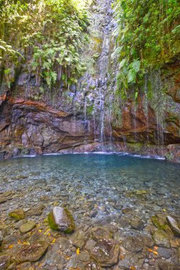 Maderira adasında su olan güzel bir manzara.
