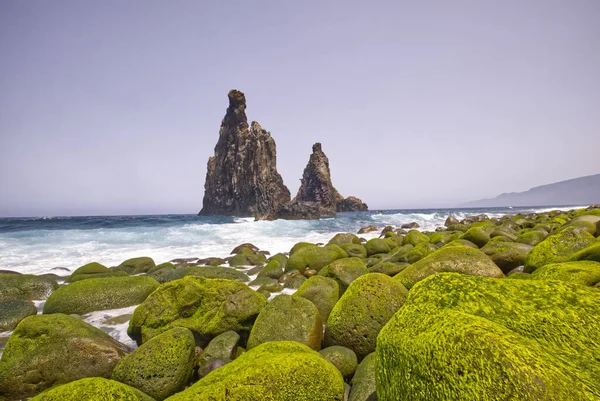 마데이라 섬의 돌들이 있는 바위투성이 해안 — 스톡 사진