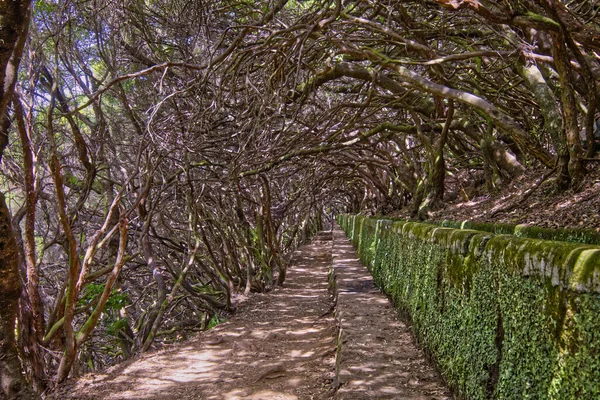 Schöne Landschaft mit Wasser auf der Insel Maderira — Stockfoto