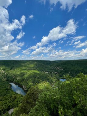 Çek Cumhuriyeti 'nde Dyje nehri ile Podyji Ulusal Parkı. Yüksek kalite fotoğraf